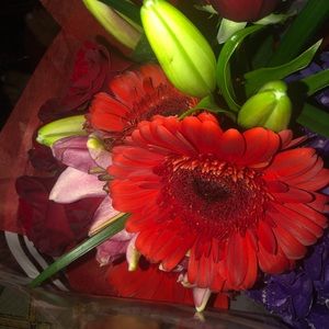 Meet your Posher, Victoria